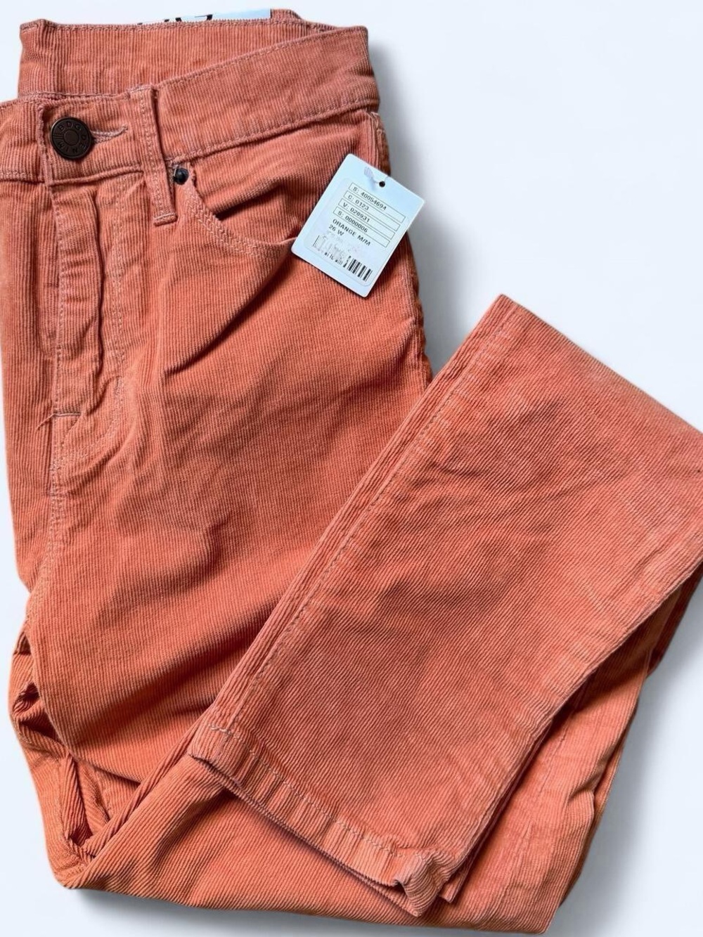 70’s Style BDG Twig High Rise Corduroy Pants in Orange | Brand New With Tags